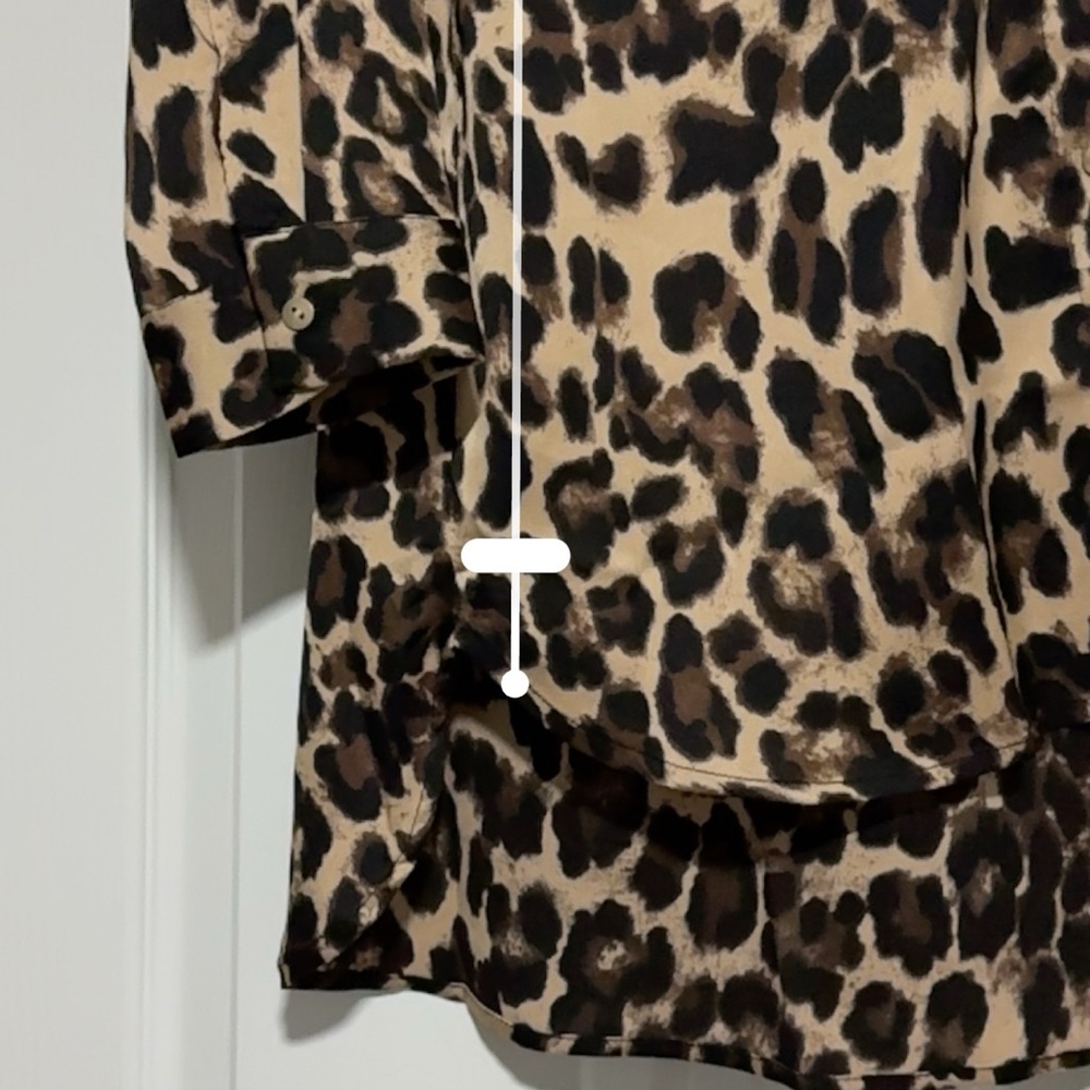 Leopard Print Long Sleeve Dress - Picture 3 of 5